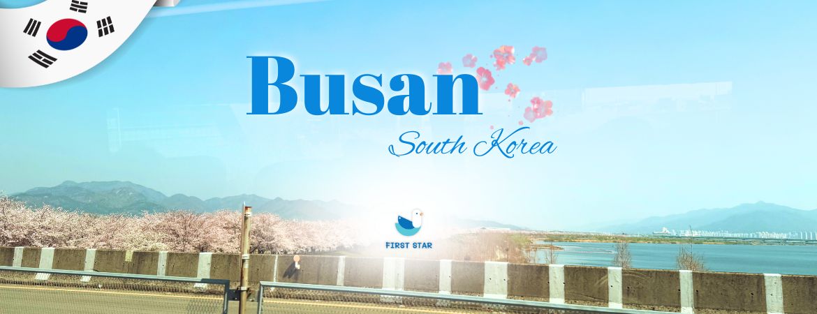 รีวิวเที่ยวปูซานช่วงซากุระบาน รวมจุดเช็คอินยอดฮิตที่ต้องไป April,2026