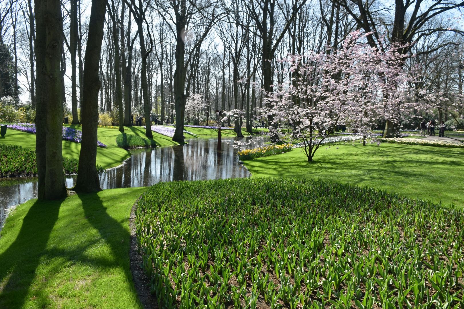 บรรยากาศภายในสวนต้องขอบอกเลยว่ามีแดด แต่ก็มีร่ม สบายๆ